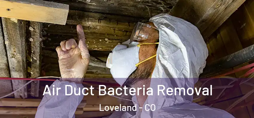 Air Duct Bacteria Removal Loveland - CO