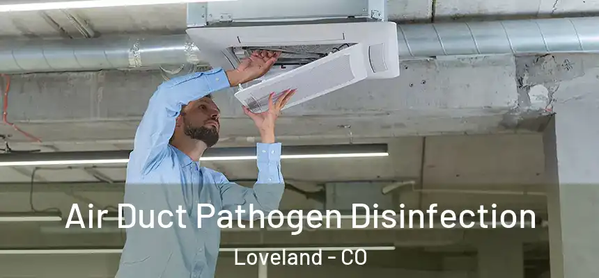  Air Duct Pathogen Disinfection Loveland - CO