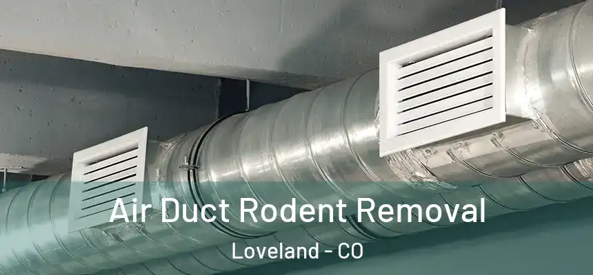  Air Duct Rodent Removal Loveland - CO
