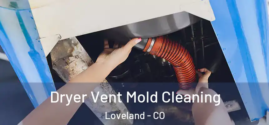  Dryer Vent Mold Cleaning Loveland - CO