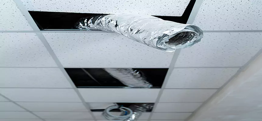 Affordable HVAC Sanitizing After Pest Removal in Loveland