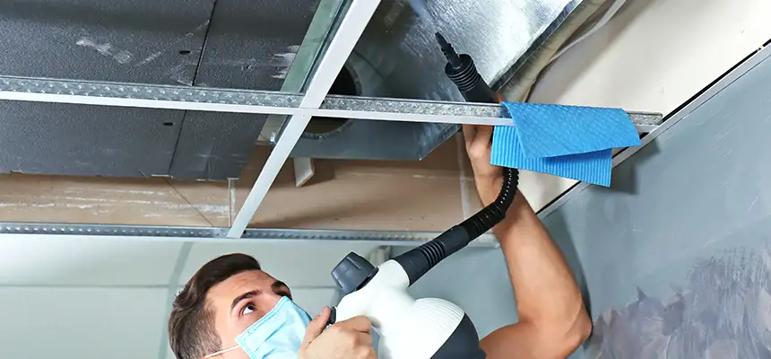 Our Air Duct Rodent Removal Services in Loveland, CO