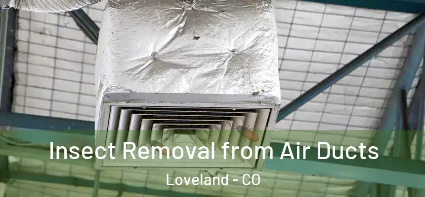  Insect Removal from Air Ducts Loveland - CO