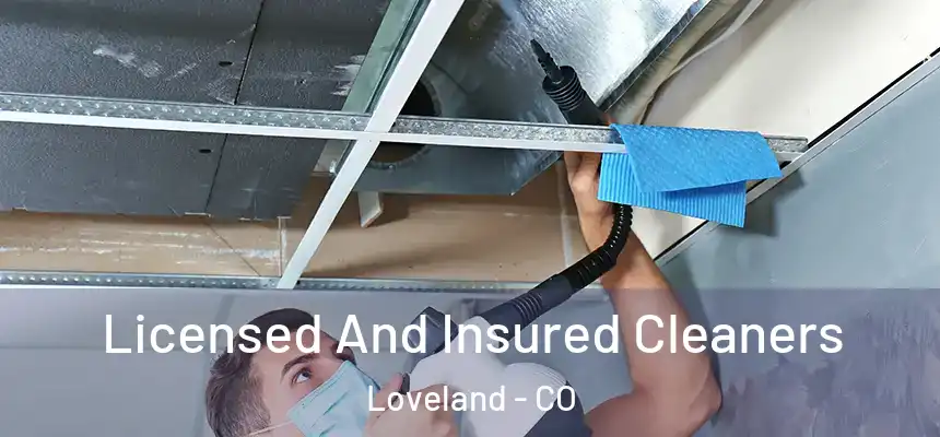  Licensed And Insured Cleaners Loveland - CO