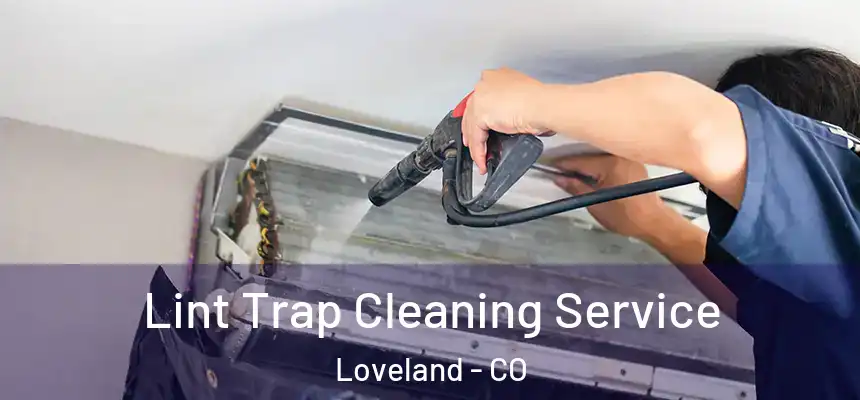 Lint Trap Cleaning Service Loveland - CO