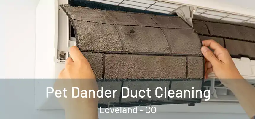 Pet Dander Duct Cleaning Loveland - CO