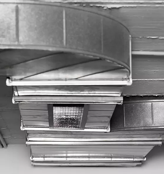 Professional Air Duct Pest Removal in Loveland, CO