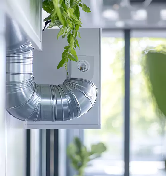 Professional Eco-Friendly Duct Cleaning Services in Loveland, CO