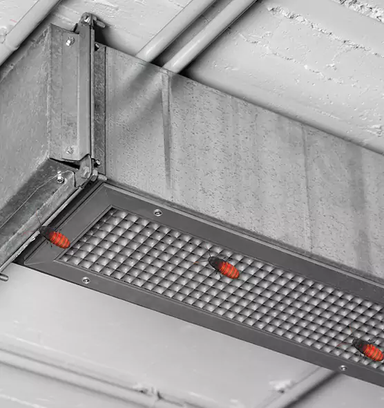 Affordable Insect Removal from Air Ducts in Loveland, CO