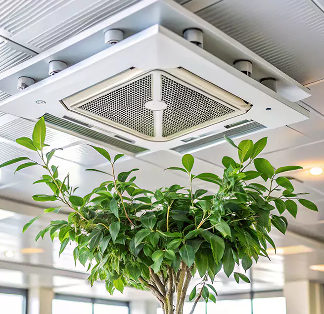 Why Homeowners & Businesses Trust Us in Loveland, CO?