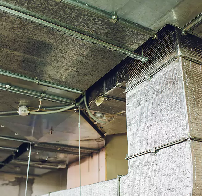 Why Homeowners & Businesses Trust Us in Loveland, CO?